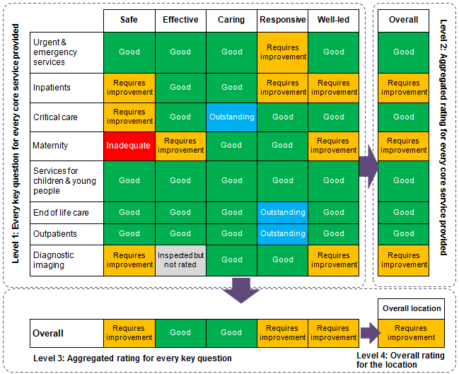 Table showing how the four levels work together for a provider that delivers more than one service.