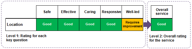 Table showing how the two levels work together for a single specialty service.
